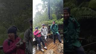 preview picture of video 'Montezuma Falls at Tasmania'
