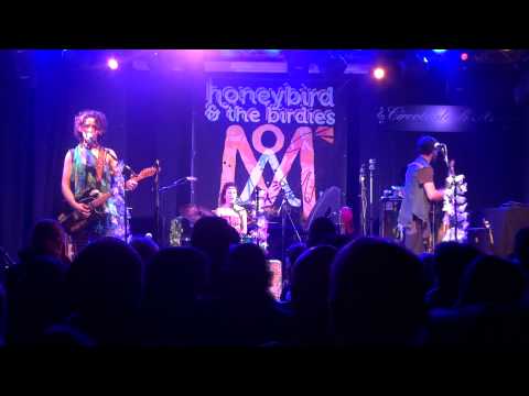you should reproduce - honeybird & the birdies live @ circoloartisti 2012