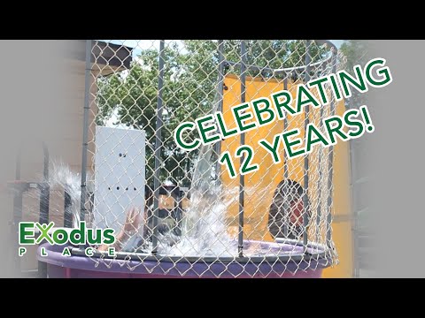 Dunk Tank Fun! | Celebrating 12 Years of Exodus Place
