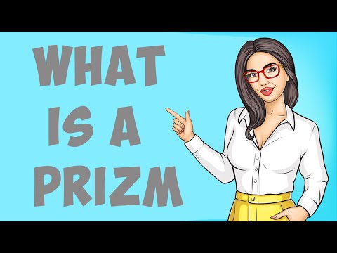 What is a Prizm?