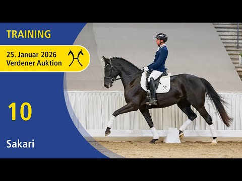 10 Sakari by Sezuan's Donnerhall | Verden Auction Online - Sporthorses & Youngster - Jan., 25