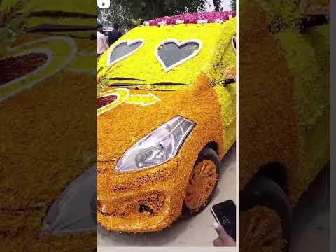 #junemein #RRA BOY RUSTAM