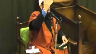 أسامة القوصي   تولي مسيحي