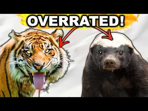 5 Most OVERRATED Animals on Earth