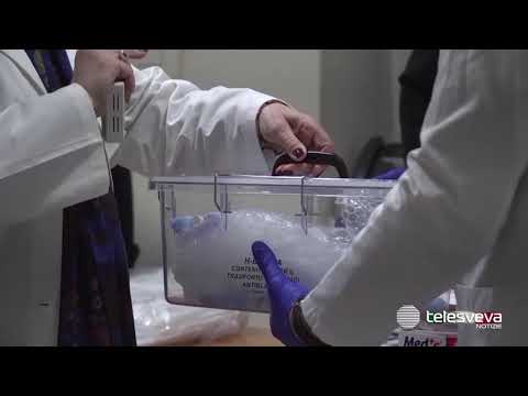 BAT | Al via la sperimentazione del vaccino Reithera, oggi le prime somministrazioni del farmaco