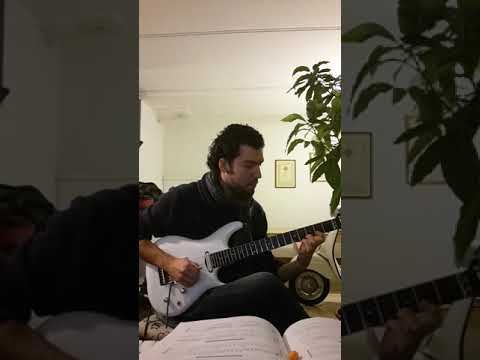 If I could fly - Joe Satriani  First Solo by Marco Melillo Musician