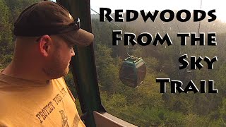 Redwoods: Trees of Mystery ~ Sky Trail
