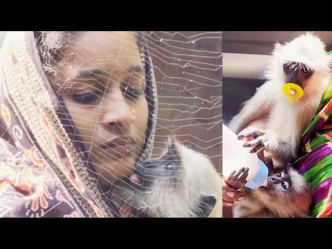 Last journey of Chumki