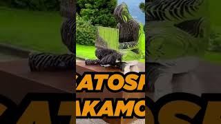 Quem é Satoshi Nakamoto de verdade - Mistério revelado?