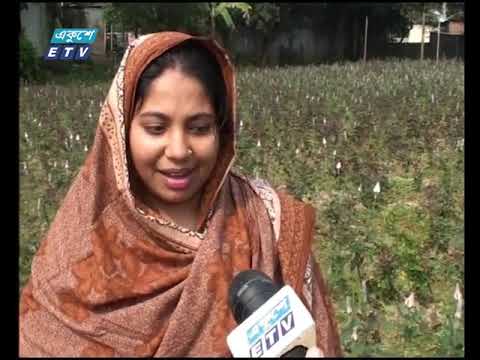 বাণিজ্য সংবাদ || ২৭ ডিসেম্বর ২০১৮