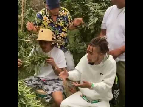 @saelo_official - "El demonio de la tinta y no es Kendo" (Freemode)