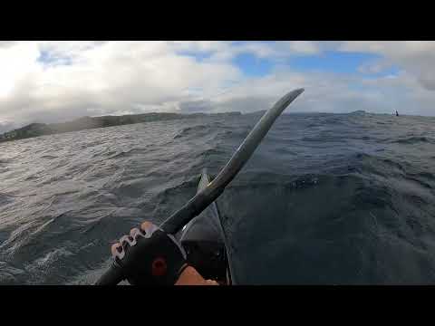 Downwind with a whale 🐳🐋😍