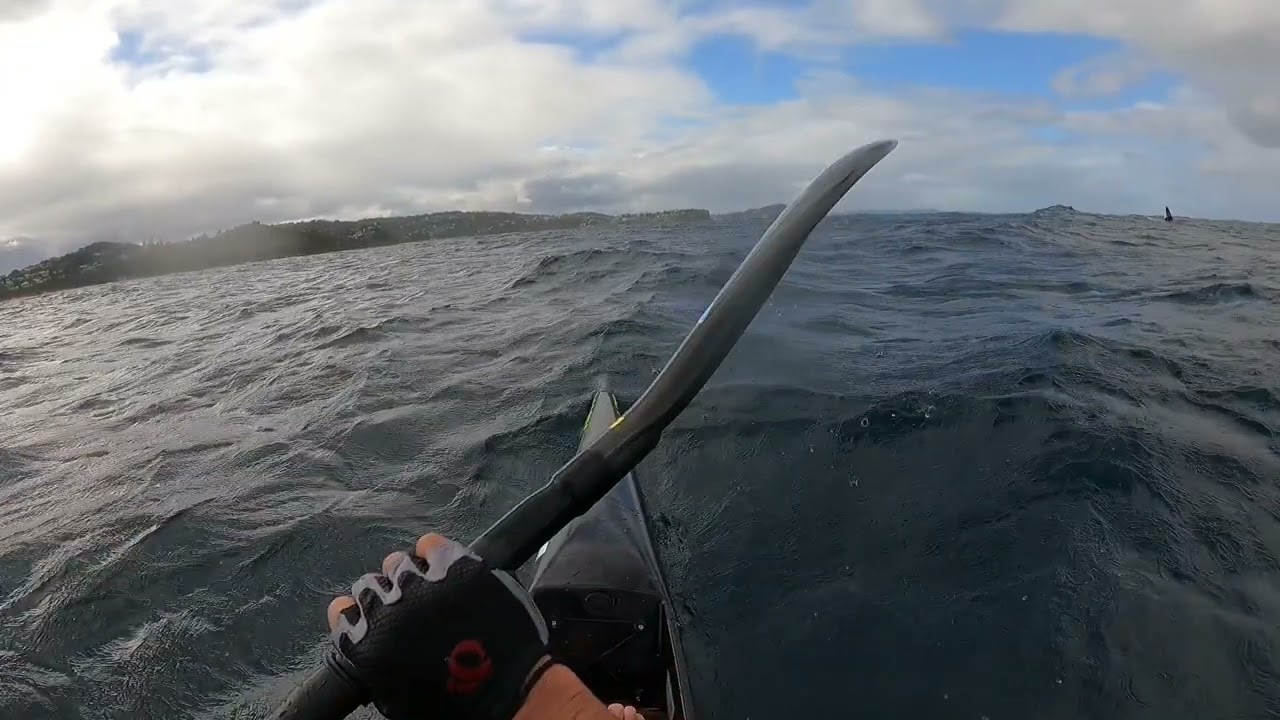Downwind with a whale 🐳🐋😍