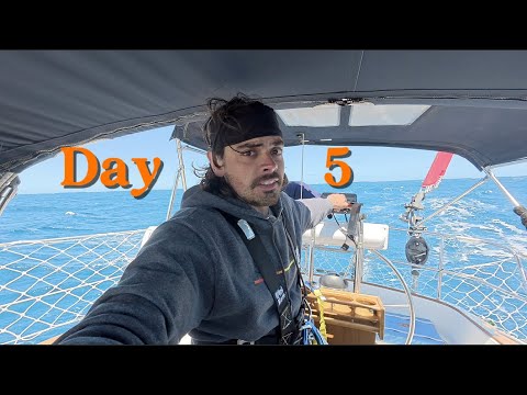 Day 5 of Pacific Crossing as a Solo Sailing Super Nooob