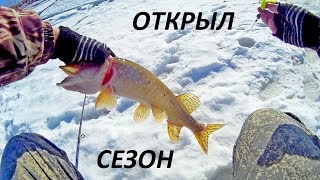 Рыбалка в новосибирской области на реке омь