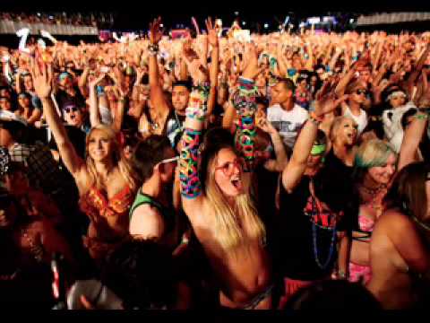 Bassjackers - Live @ EDC 2013 Electric Daisy Carnival (New York)