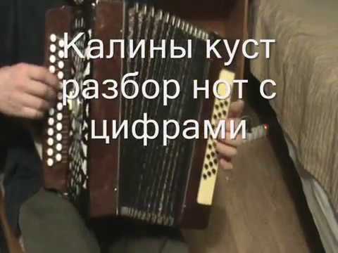 Калины куст аккорды