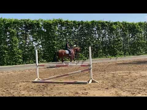 Kentucky - Wallach 2015