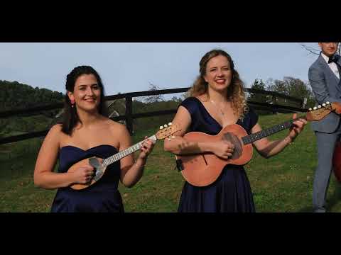 TS Melos - BALERINA (cover)_Official video