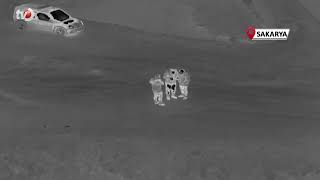 Saatler Sonra Bulundular