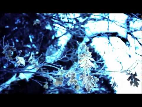 Six Senses  Terk Dawn   Dedication Music Video HD