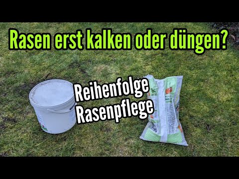 Rasen erst kalken oder düngen Wie ist die Reihenfolge bei der Rasenpflege bei Kalken und Düngen