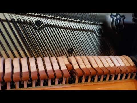 "Battle Of The Flowers" 88 Note Music Roll #1059. Played on a 1910 HL PHILLIPS Player Piano.