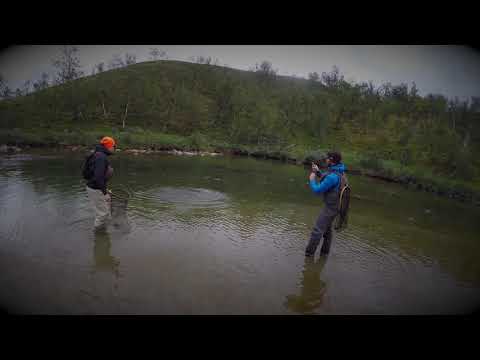 Perhokalastusta lapissa 2018