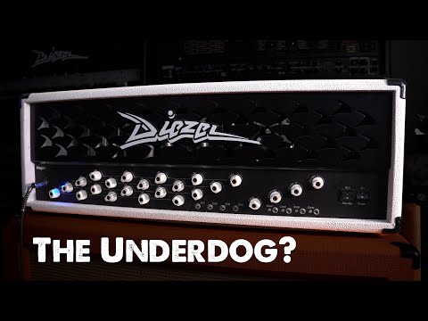 Diezel Hagen - Diezels Underdog? + 5150 & Marshall DSL Comparison