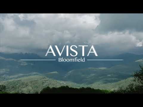 AVISTA at Bloomfield, Mandeville, Manchester