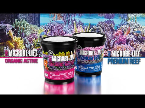 Das ideale Meersalz für dein Aquarium - 𝗠𝗜𝗖𝗥𝗢𝗕𝗘-𝗟𝗜𝗙𝗧 𝗣𝗿𝗲𝗺𝗶𝘂𝗺 𝗥𝗲𝗲𝗳 𝗦𝗮𝗹𝘁 𝘂𝗻𝗱 𝗢𝗿𝗴𝗮𝗻𝗶𝗰 𝗔𝗰𝘁𝗶𝘃𝗲 𝗦𝗮𝗹𝘁