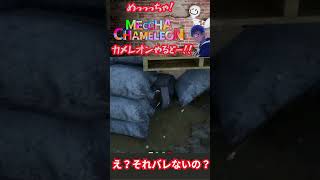 え？それバレないの？ #ゲーム実況  #めっちゃカメレオン