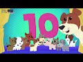 I Had Ten Little Puppies I Had 10 Little Puppies Infantil Song Preschool Learning The Numbers