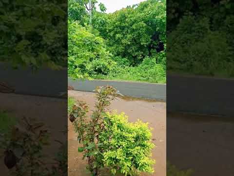 Nature🌅🏕️🌄