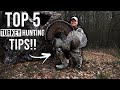 Top 5 Turkey Hunting Tips For Beginners