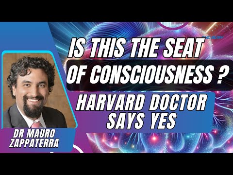 Healing from Within: Consciousness & Energy Fields with Dr Mauro Zappaterra