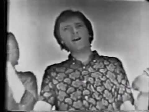 1966 The Critters   Mr  Dieingly Sad Stereo Video