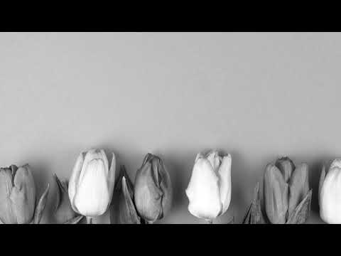 Case,Foxy Brown-Touch Me Tease Me