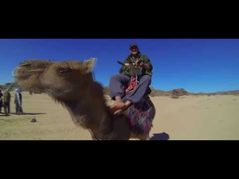Dr. Peacock  - Trip to Saudi Arabia ft. Dither (Official Video)