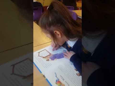 Sara la scoala in uk clasa a 2 a