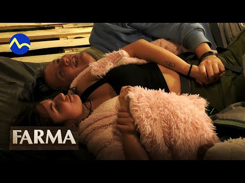 Vzťah medzi FiFqom a Giulianou - FARMA