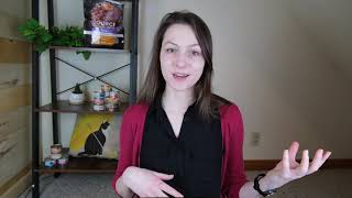 Top 7 Best Kitten Foods (We Tested Them All)