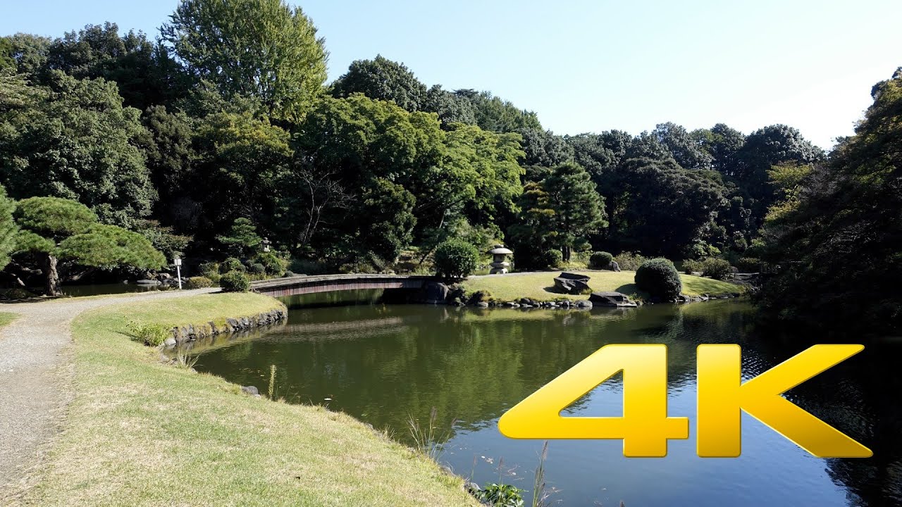 Shinjuku Gyoen - Tokyo
