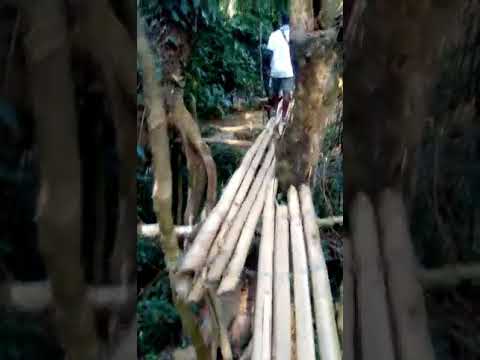 Journey to Sengema in the Gurama Chiefdom, Kono District.