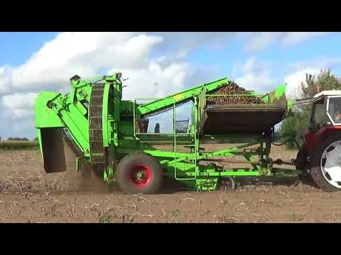 Landb. Everaert G - Assenede