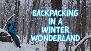 Solo winter Backpacking in a snowy wonderland.[trail vlog]