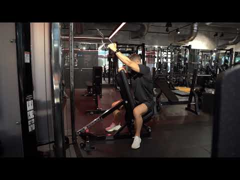 Single Arm Bench Supported Lat Pulldown | Elite Physique Training
