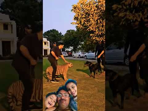 short video district viral video Zahid.com11