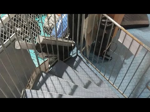 TU P05 -oilers Blue 12.1.2019