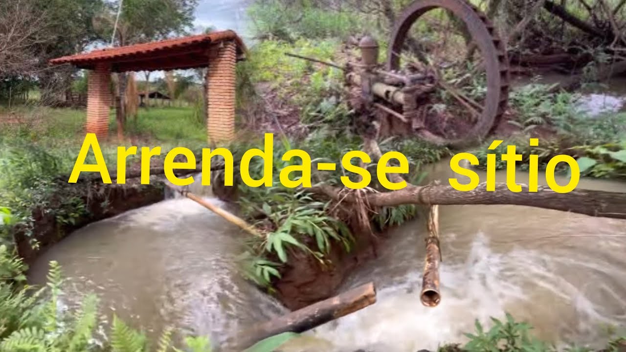 a oportunidade de  negócio  arrenda-se este sítio 2 mil reais  mensais quase  3 alqueirao